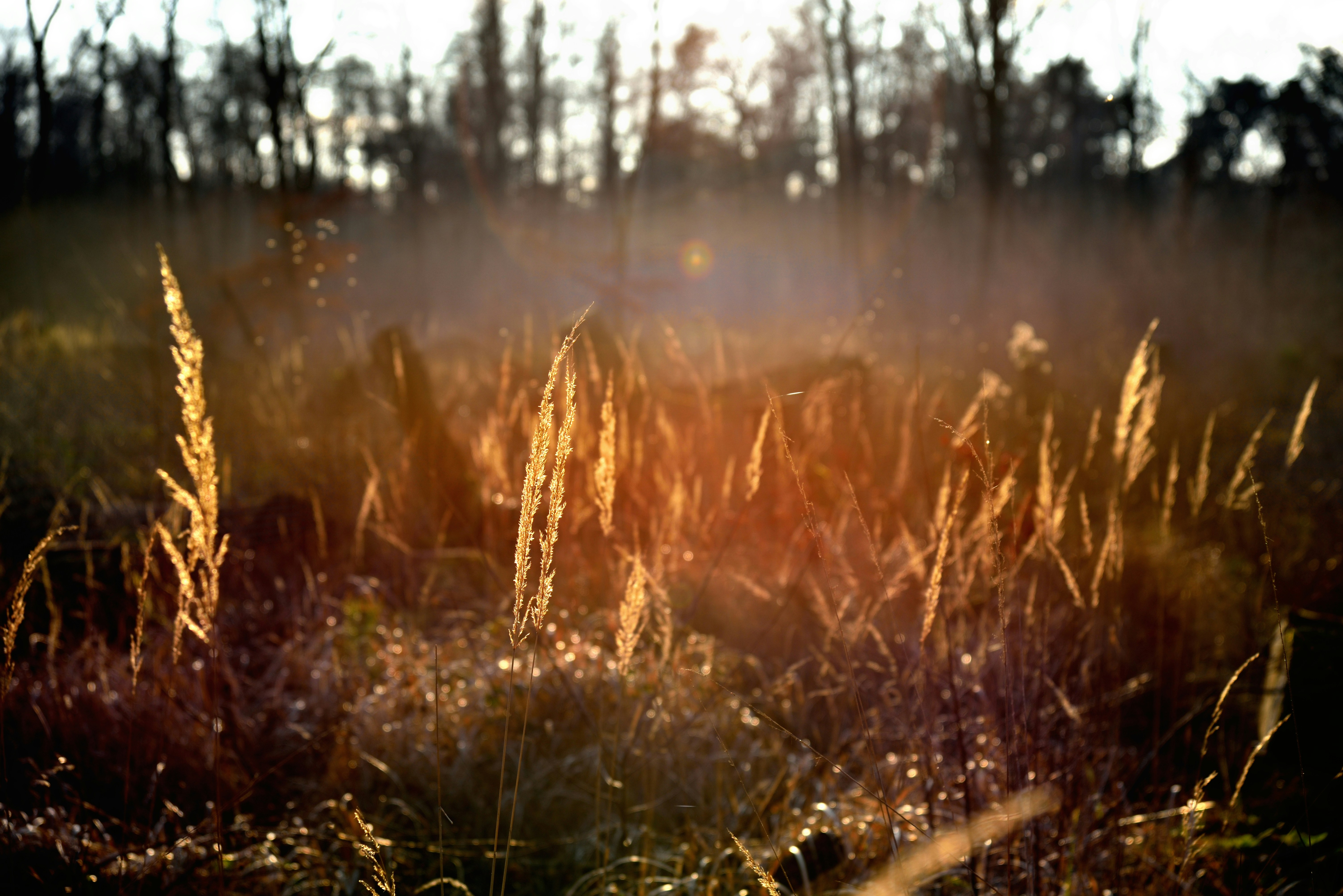 Photo by hannosch