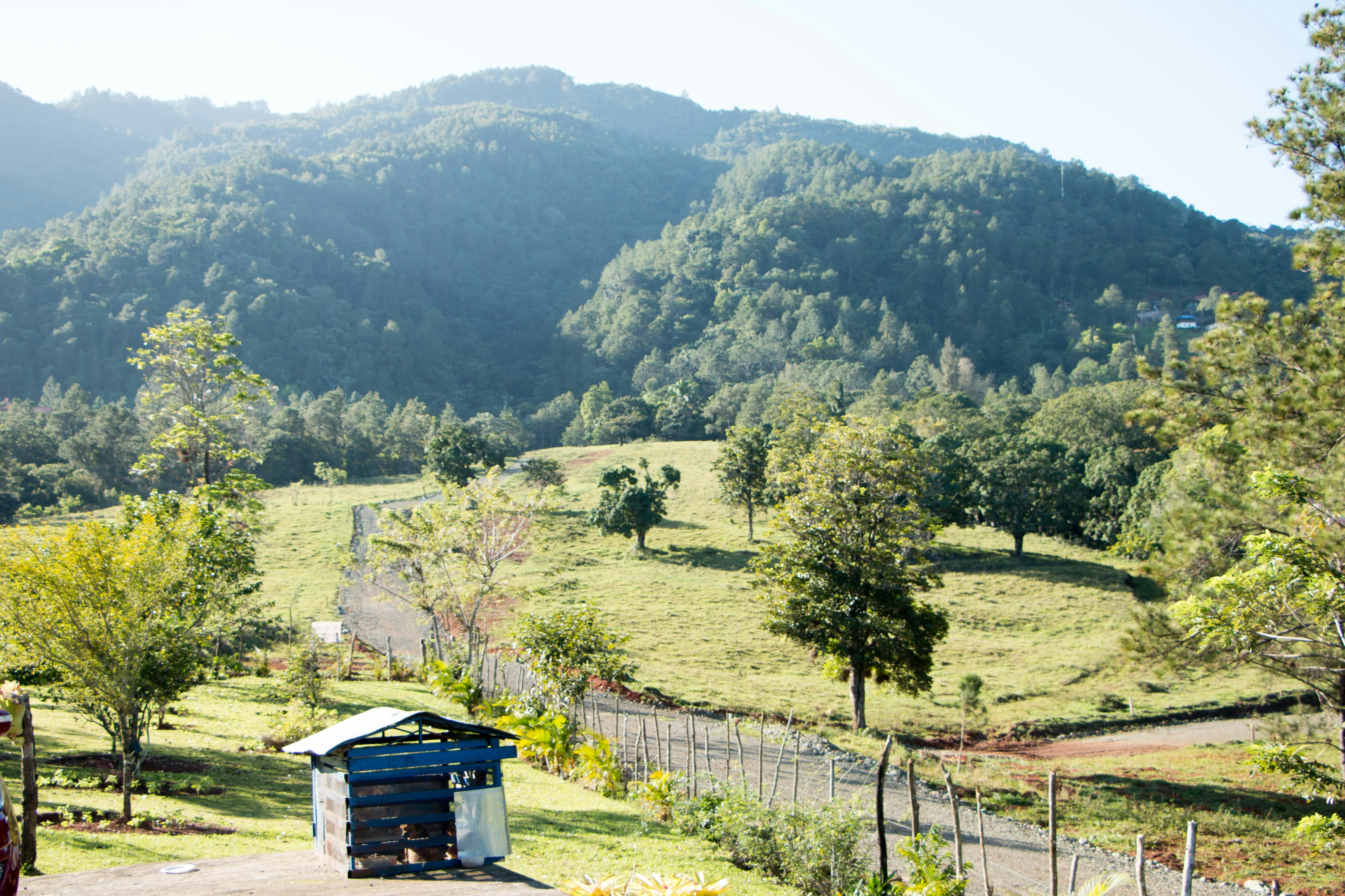 green grass field and green mountains during daytime