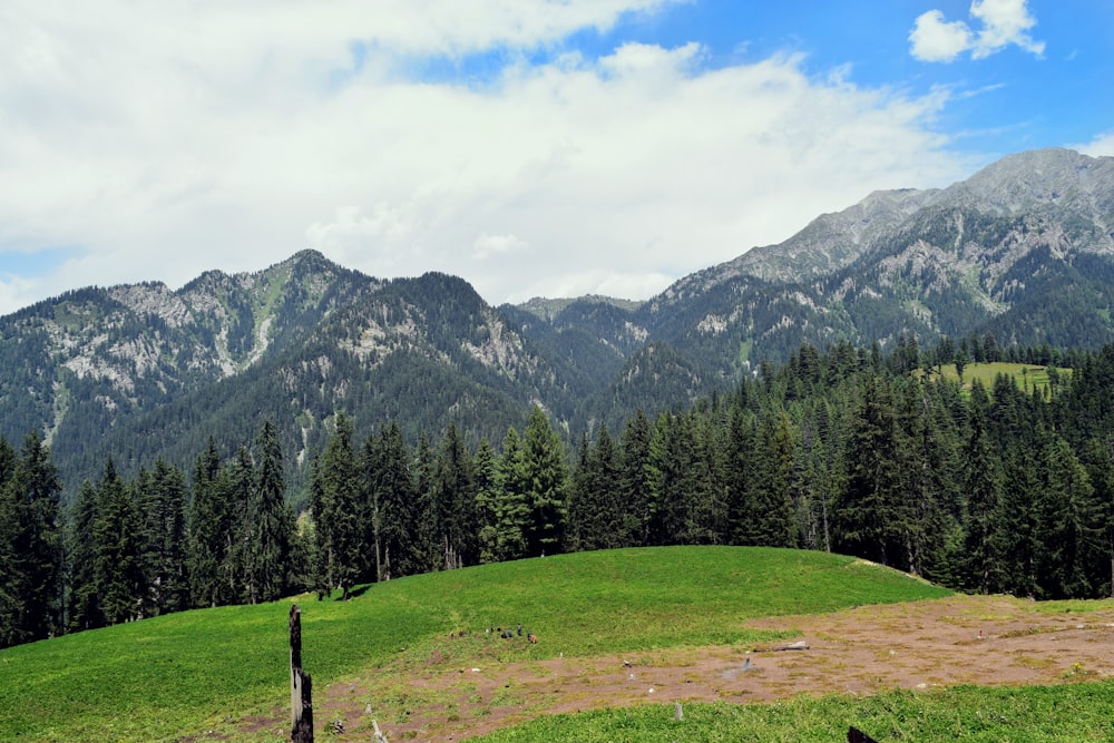 green grass field near green trees and mountain under blue sky during daytime