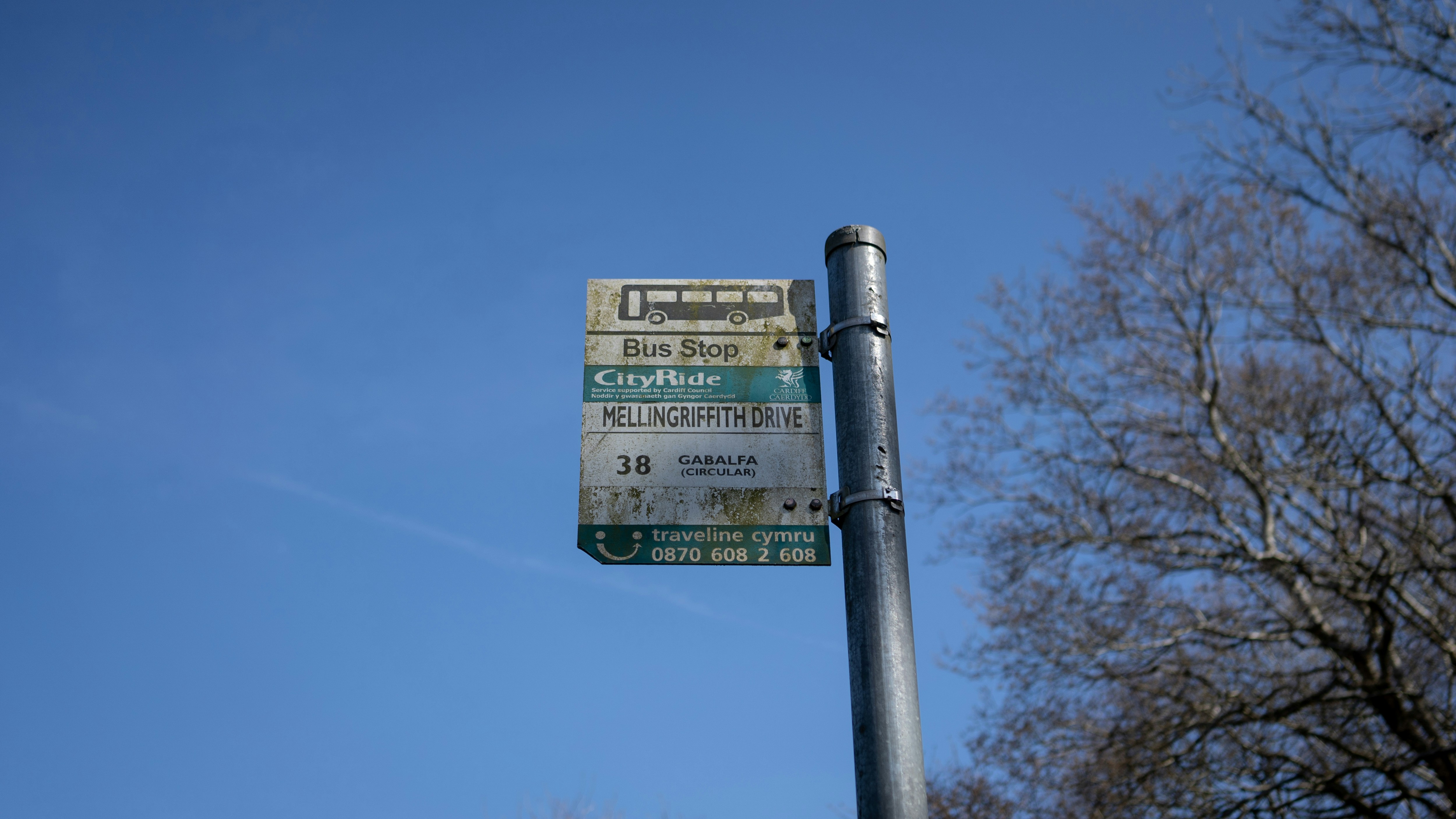 Photo by tsaichinghsuan