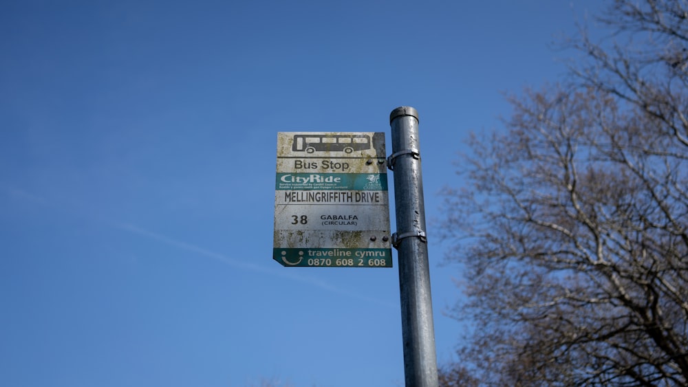 green and white street sign