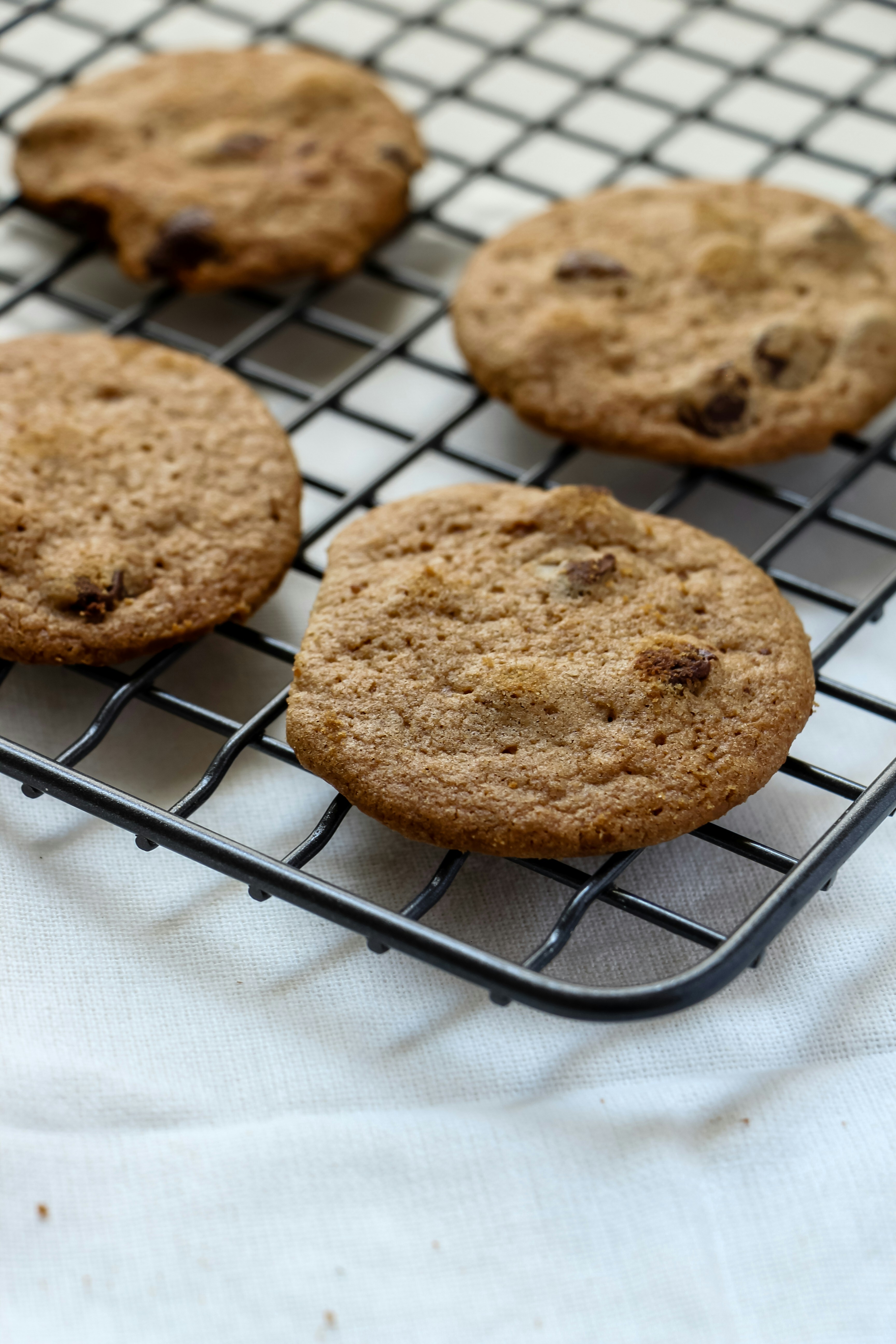 Photo by fthaysaguiar09