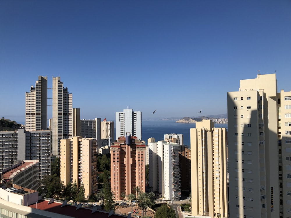 white concrete high rise buildings during daytime