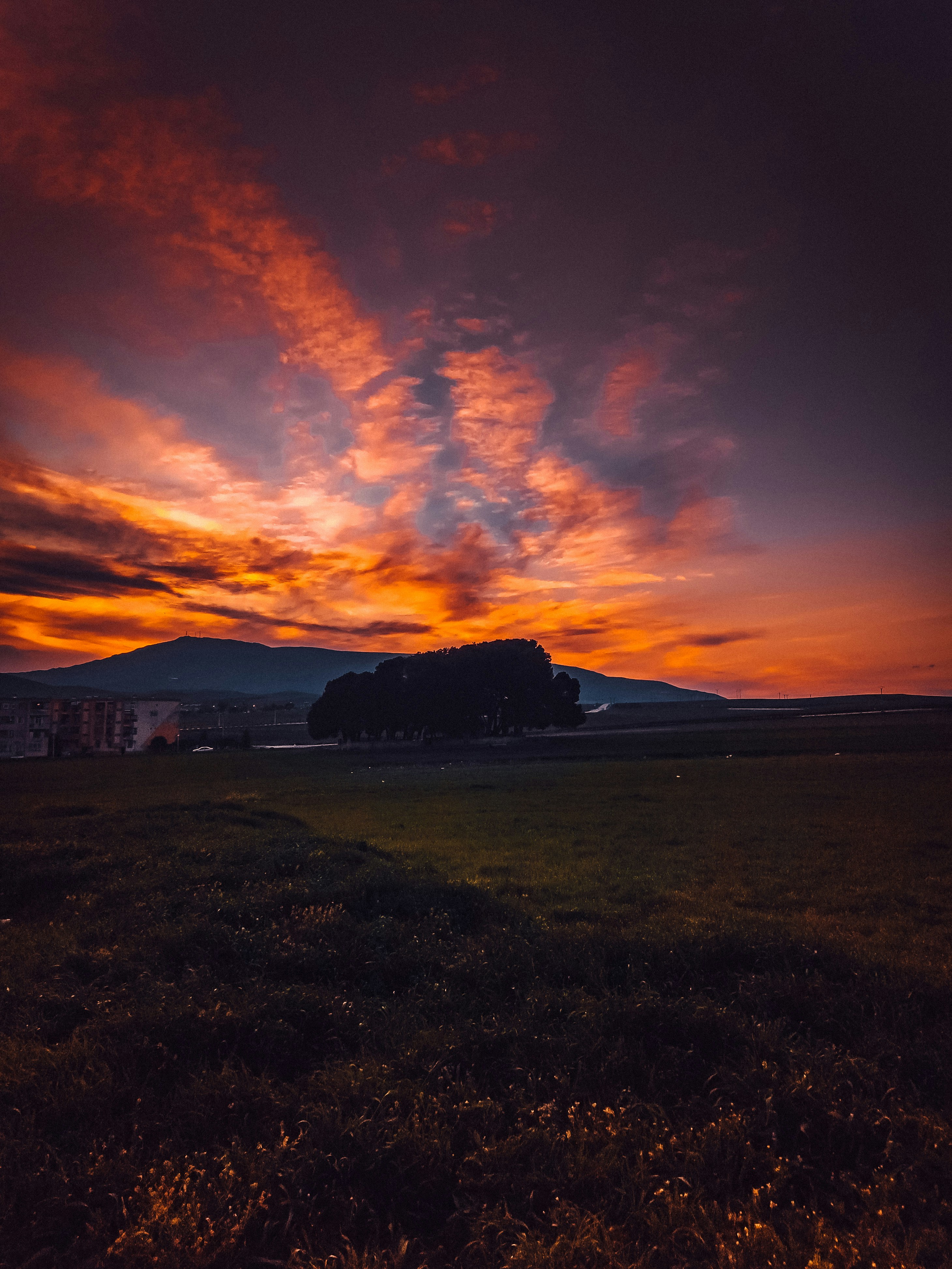 green grass field under orange and blue sky