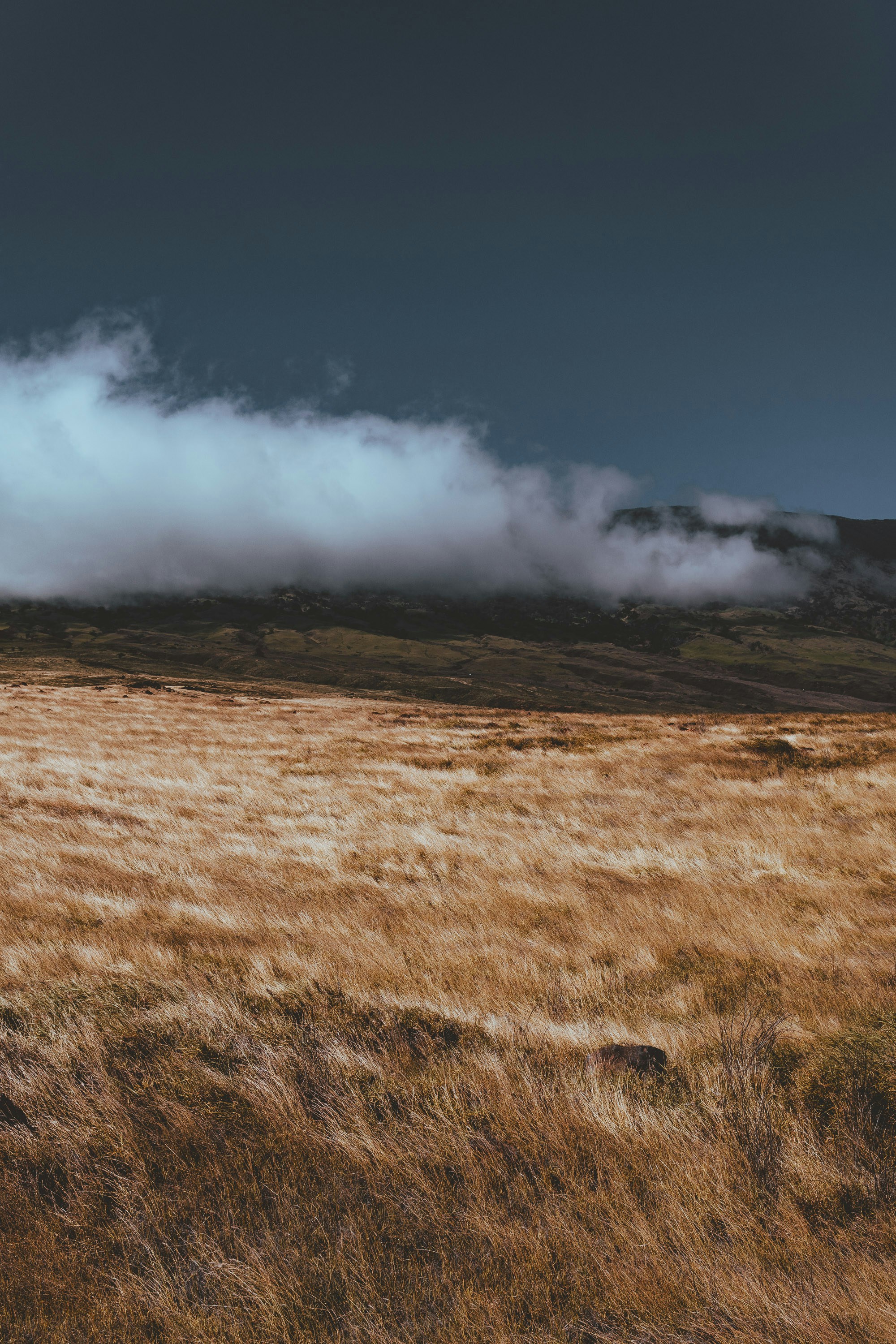 Vidros com bom preço no Calumbi