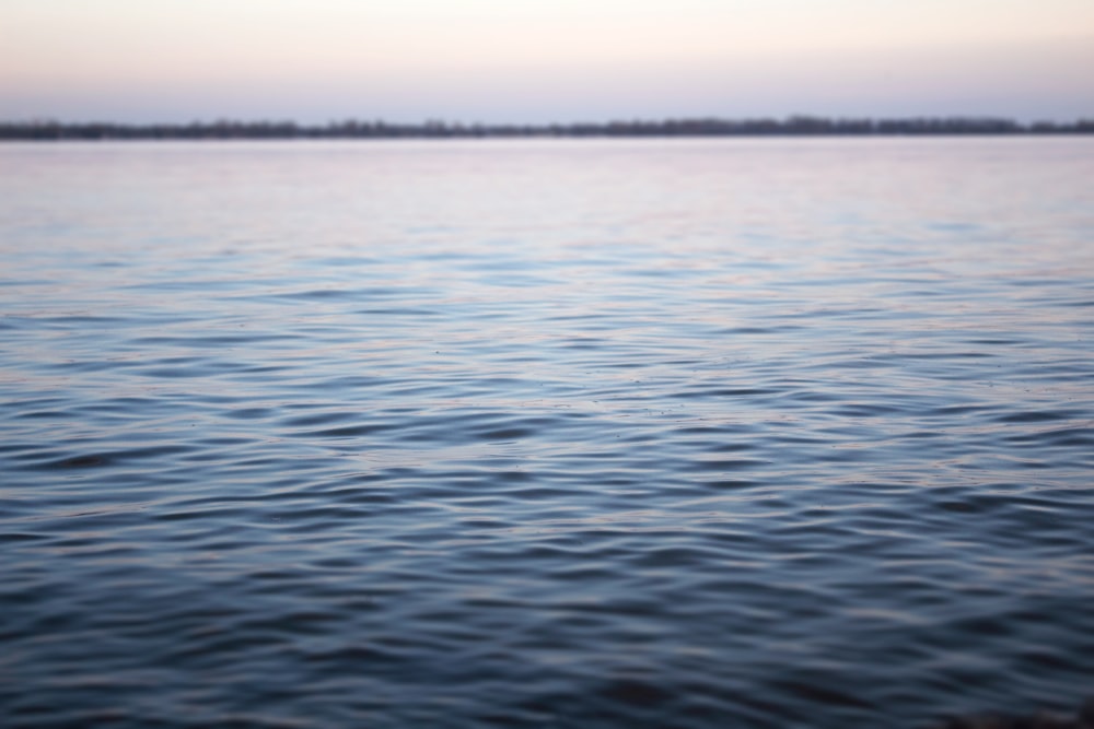 Cuerpo de agua bajo el cielo blanco durante el día