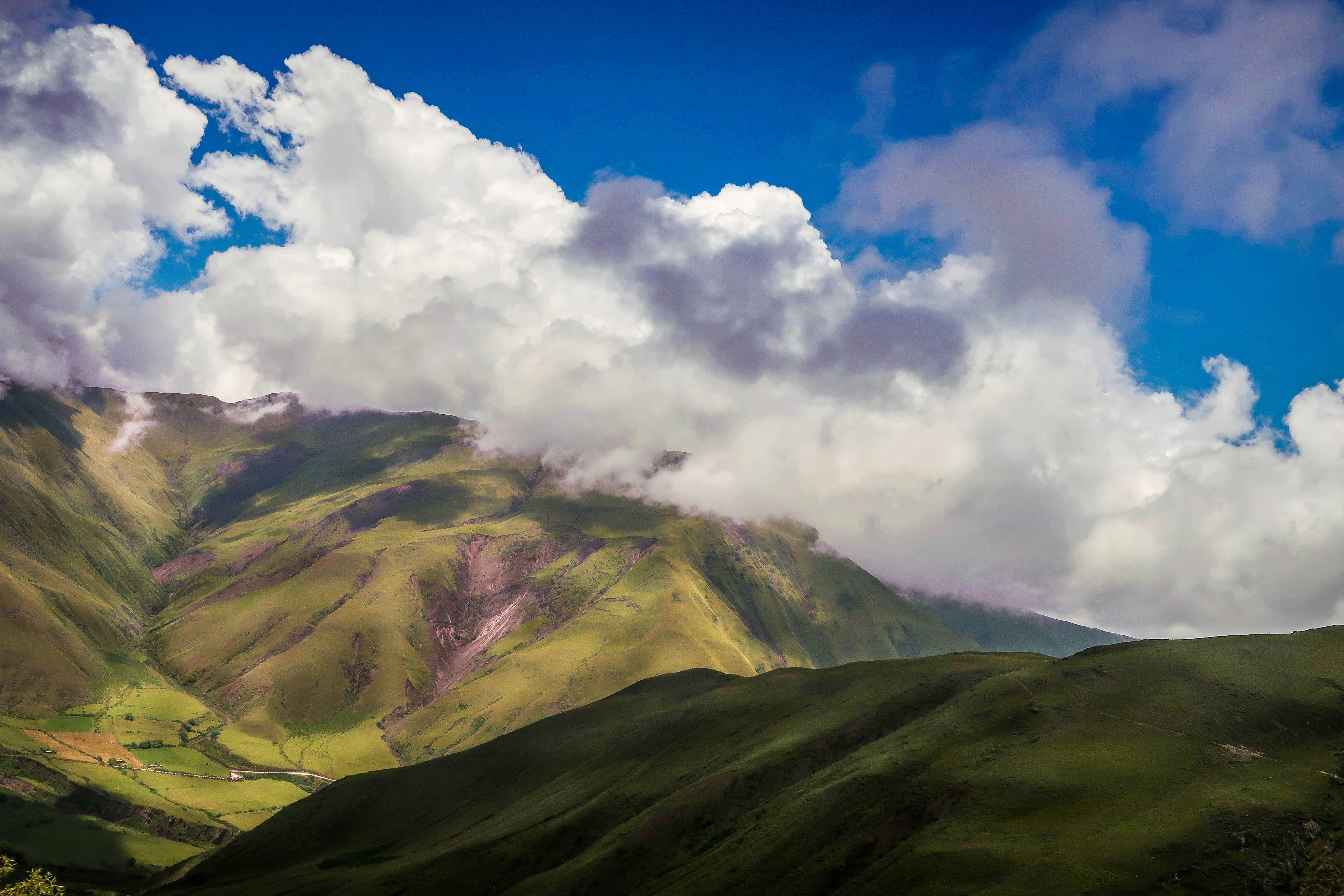 Photo by argentinanatural