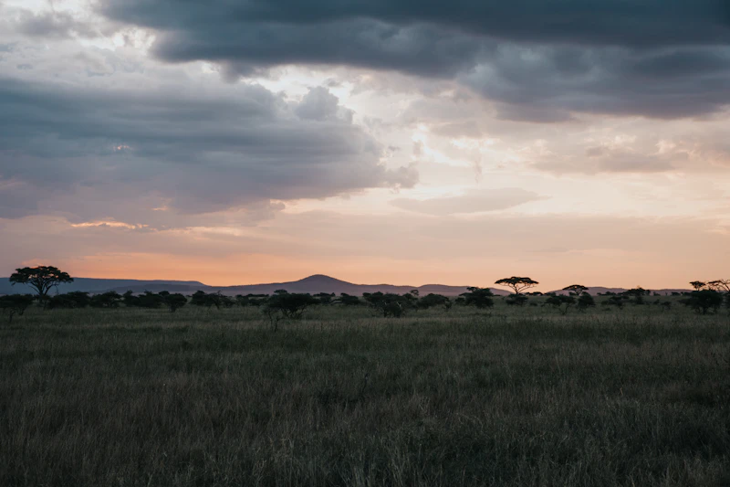 Storm clouds gathering over the plains of Serengeti National Park, Tanzania