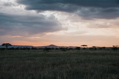 green grass field under cloudy sky during daytime tanzania google meet background