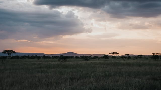 Serengeti