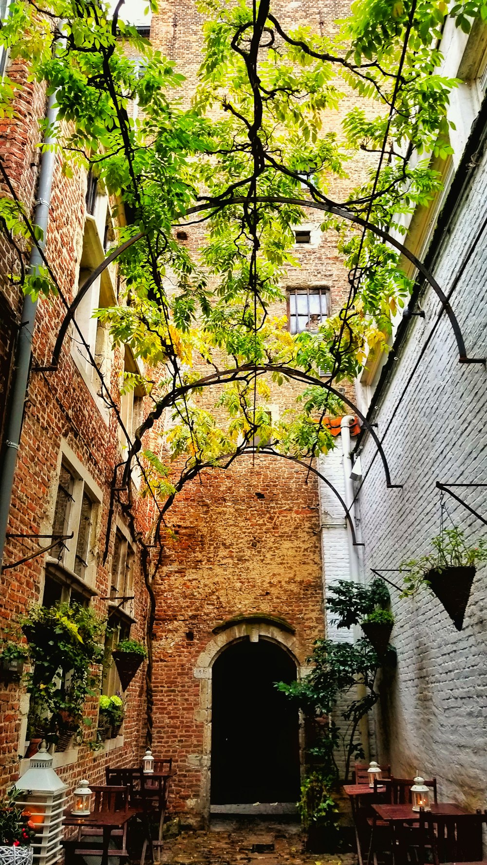 brown brick building with green trees