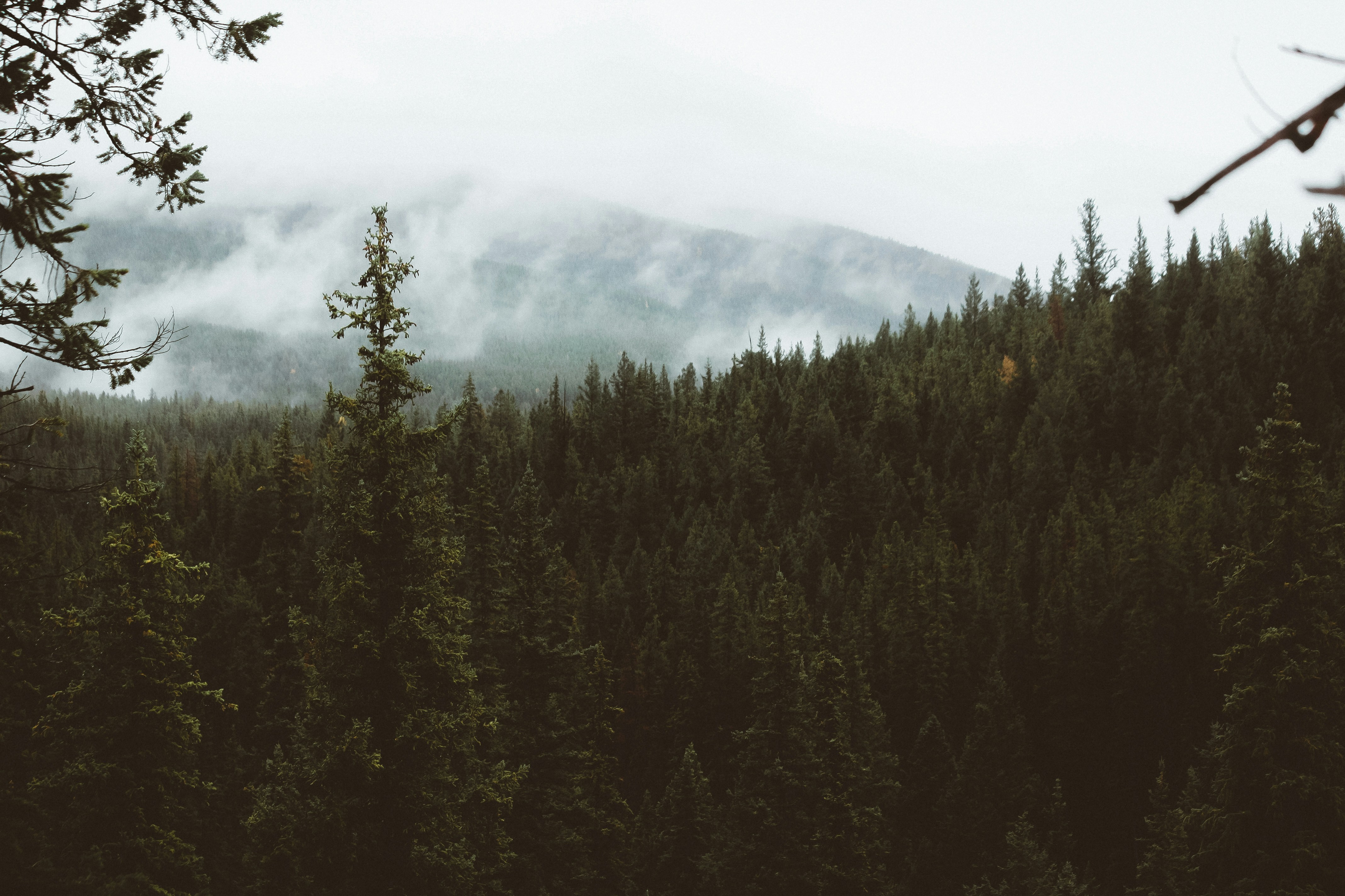 Photo by chrishenryphoto