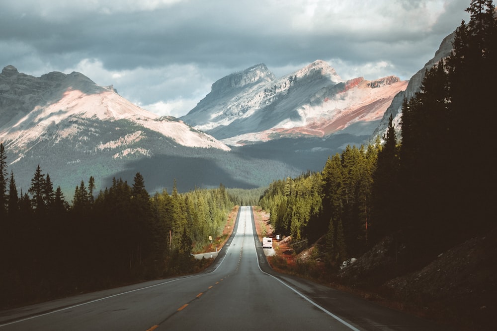 gray concrete road between green trees and mountains during daytime