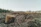 Before-and-after photo showcasing a large acreage area cleared of weeds and debris under a sunny sky.