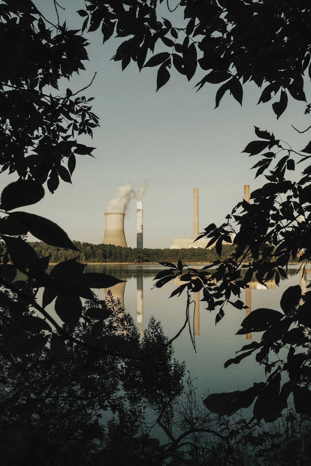 green trees near body of water during daytime