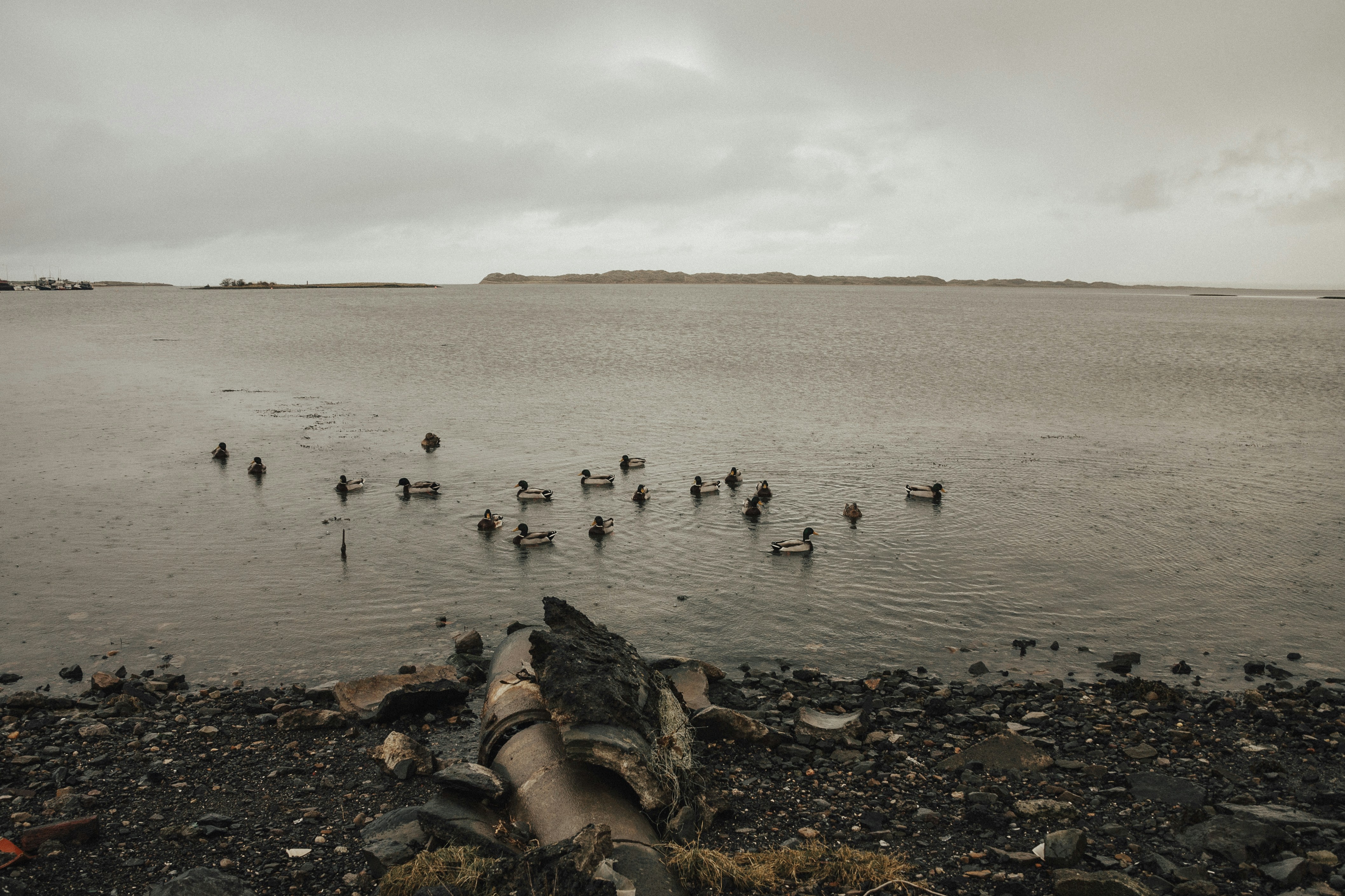 Gente en la playa durante el día