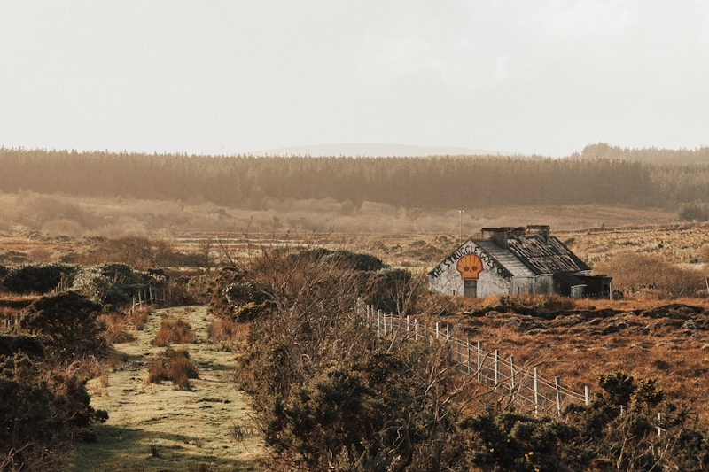 County Mayo