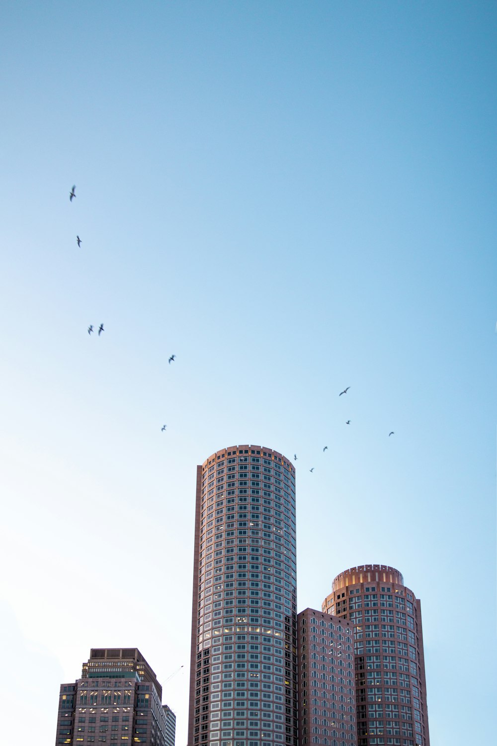 birds flying over high rise building during daytime