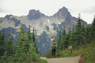 A person wearing a red hat and a green backpack is hiking along a trail surrounded by lush evergreen trees. In the background, there are rugged mountain peaks partially covered with snow, under a cloudy sky.