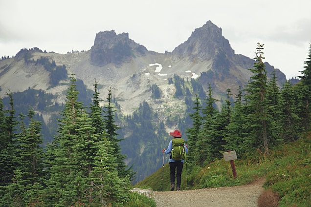 A person wearing a red hat and a green backpack is hiking along a trail surrounded by lush evergreen trees. In the background, there are rugged mountain peaks partially covered with snow, under a cloudy sky.