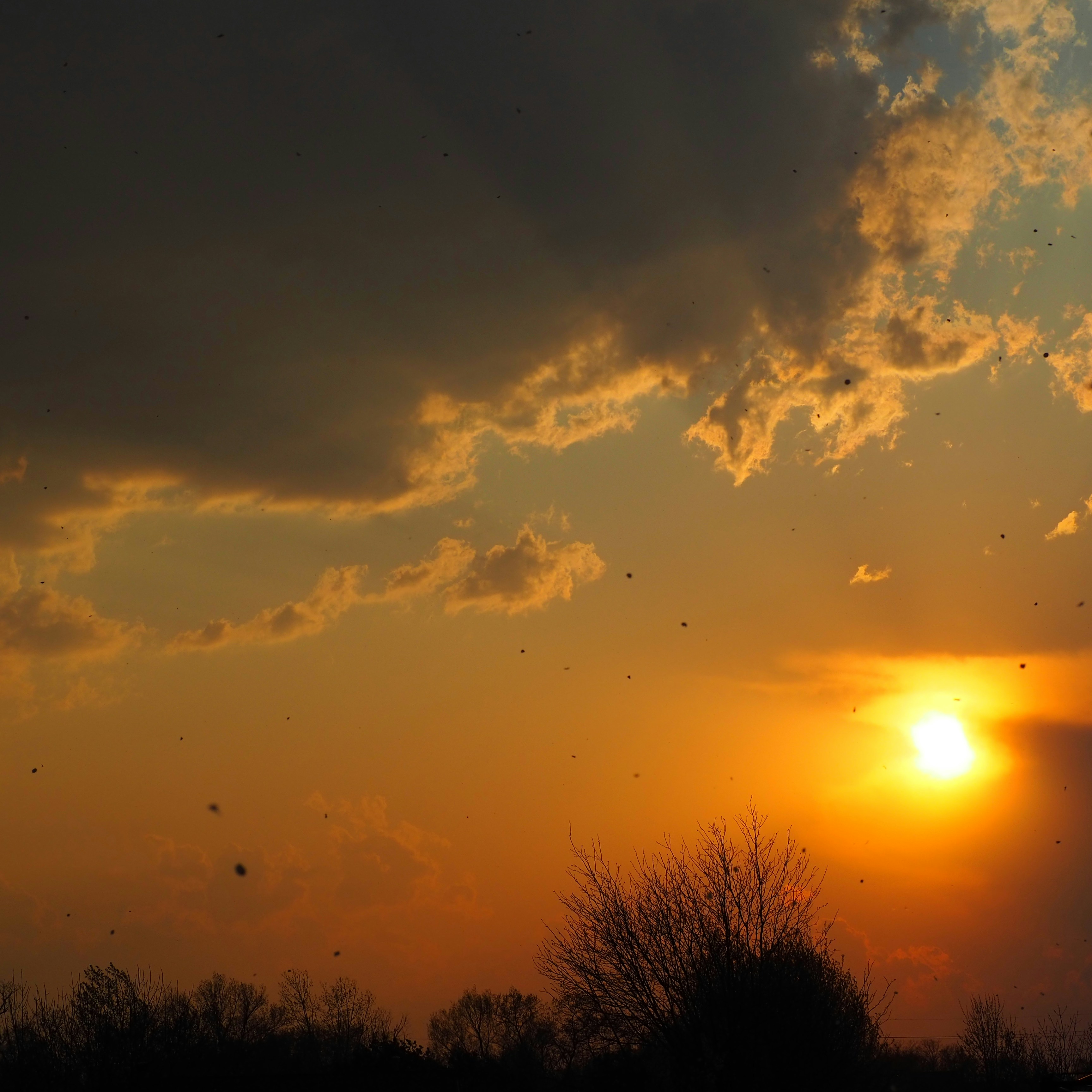 Photo by daleen_photography