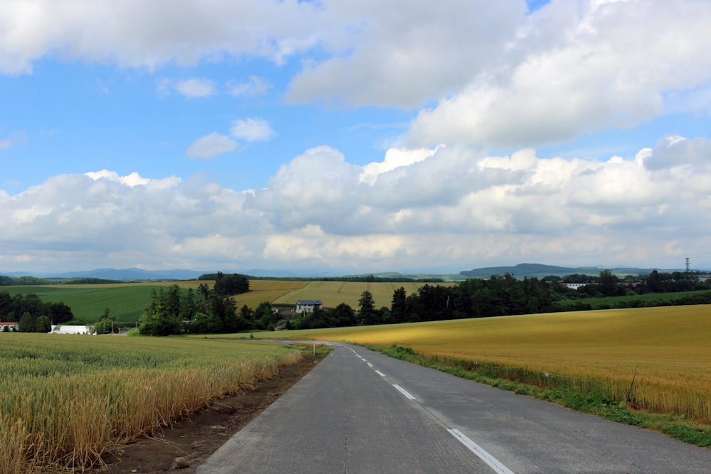 gray concrete road between green grass field under white clouds and blue sky during daytime