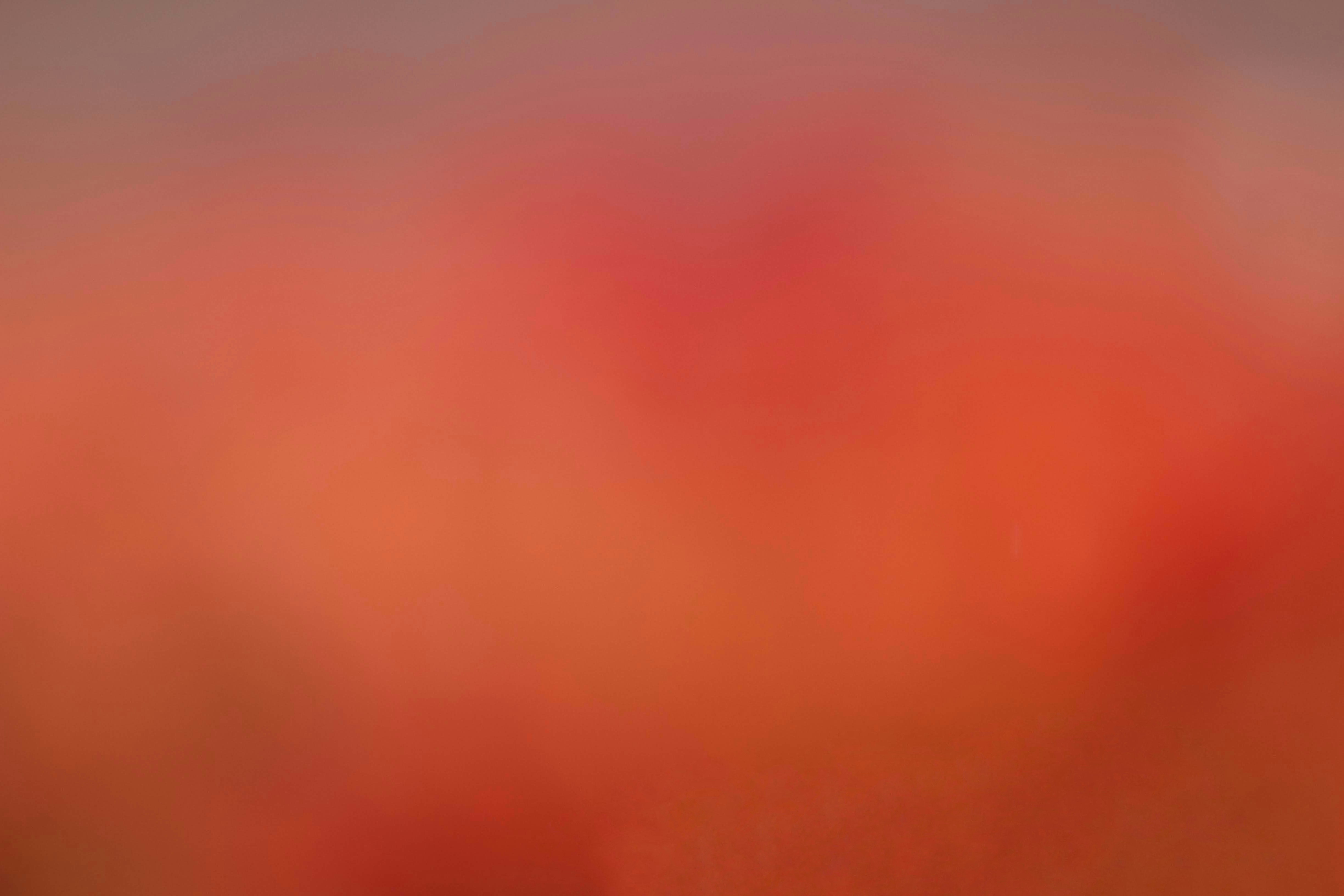 Bugün öğrendim ki: Fotoğrafçı Robert Landsburg...