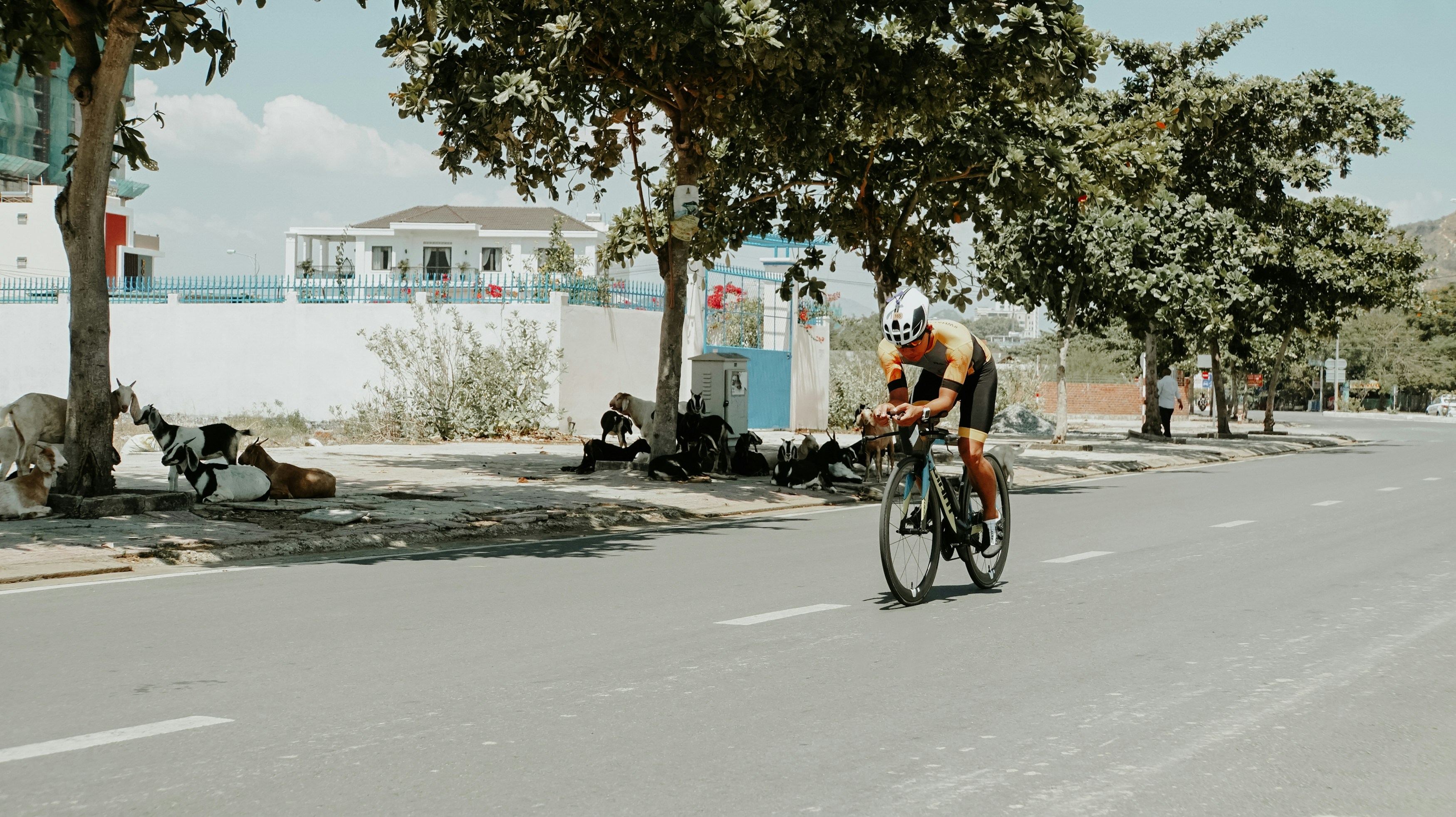 Dwie śmierci na mistrzostwach świata w triathlonie