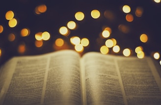 An open book with crypto icons and diagrams softly lit, symbolizing learning and discovery.