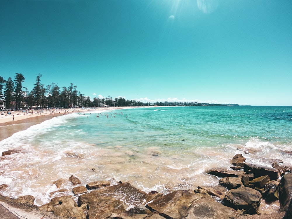 brown rocks on seashore during daytime