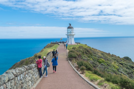 people walking on pathway near lighthouse under blue sky during daytime in Cape Reinga Lighthouse New Zealand