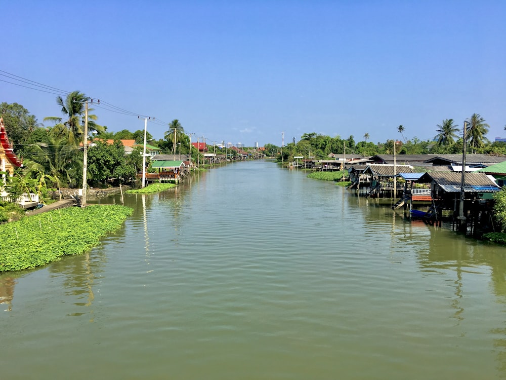 body of water near green trees during daytime