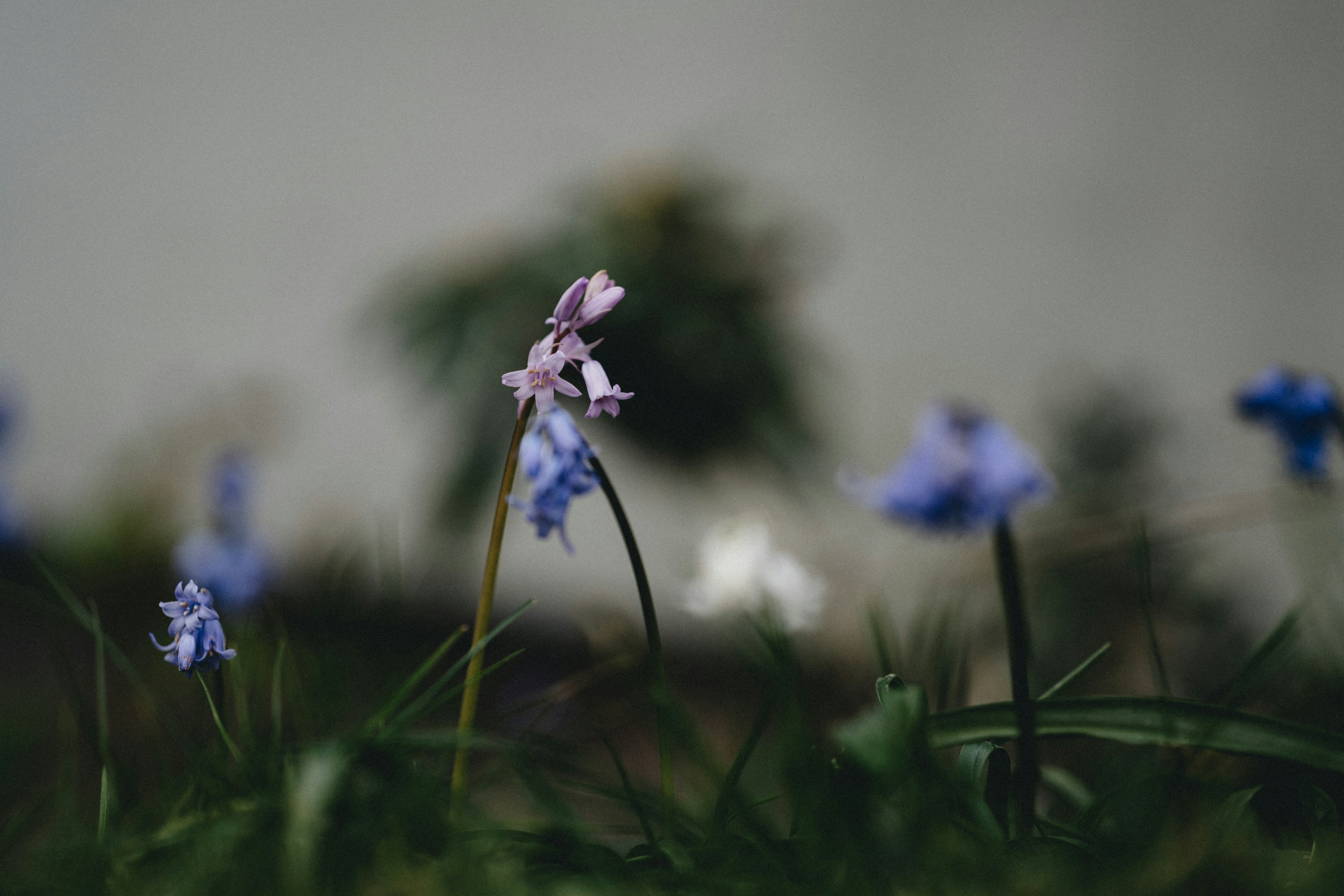 Photo by anniespratt