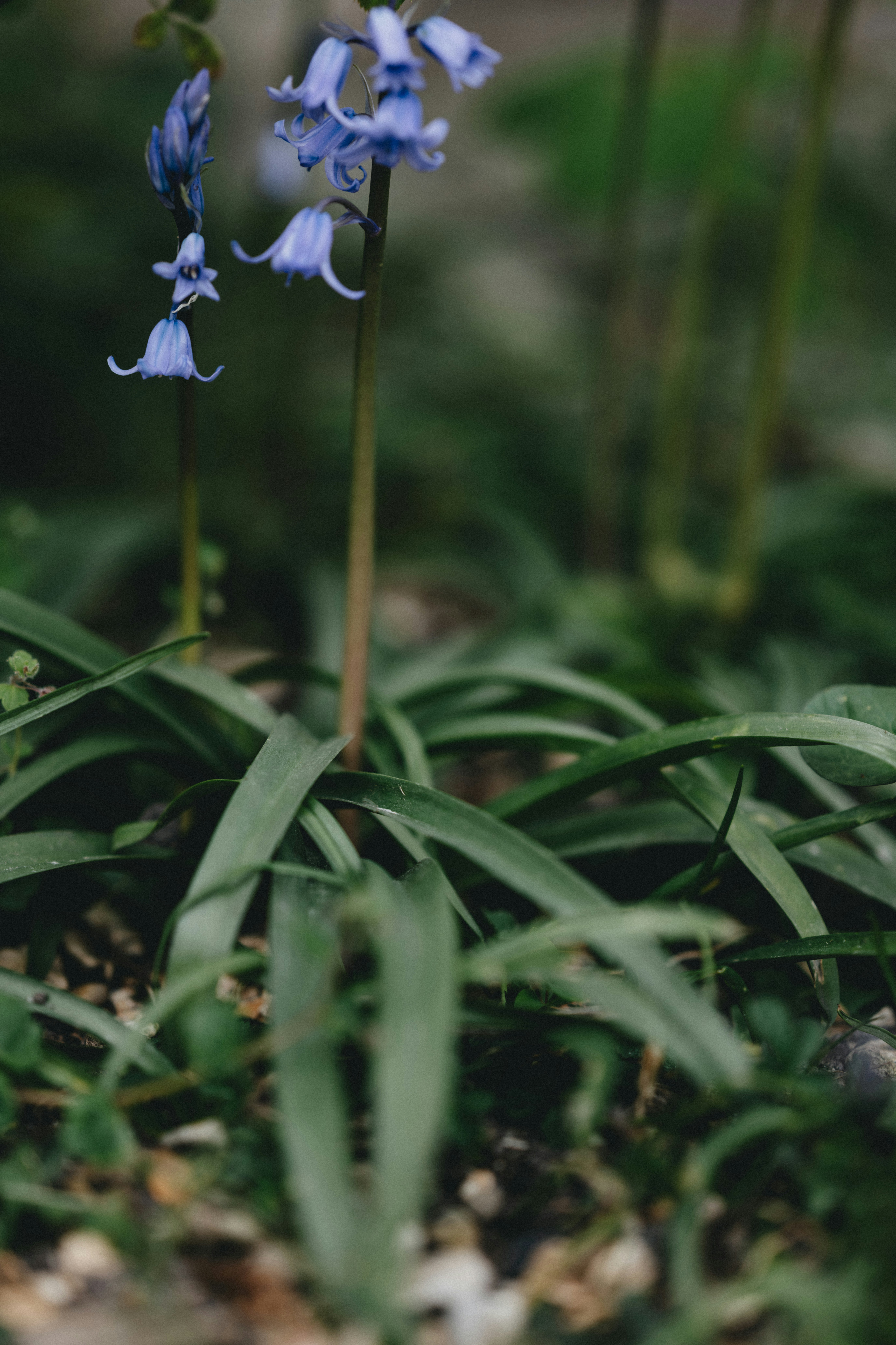 Photo by anniespratt