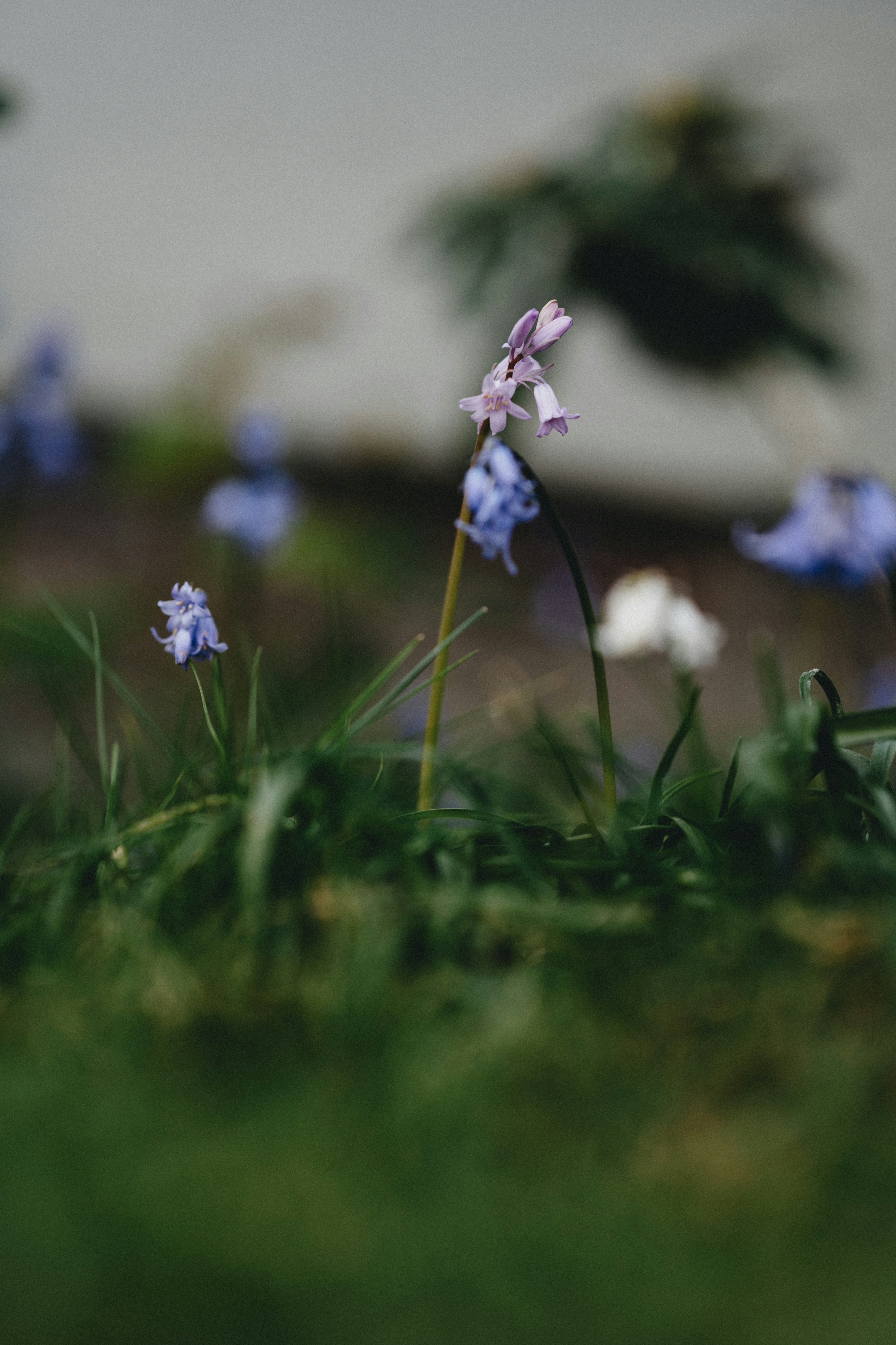 Photo by anniespratt