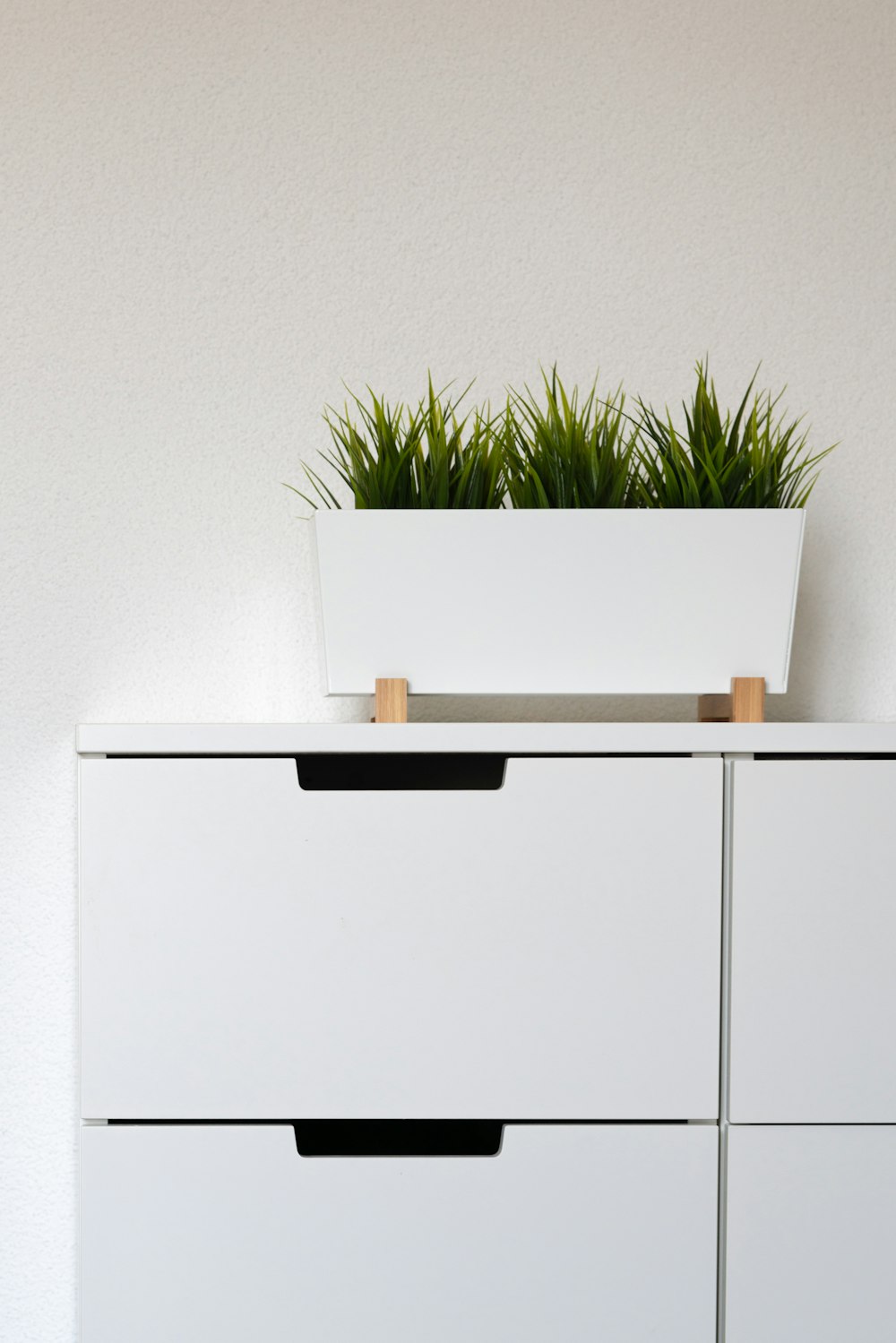 green plant on white wooden table