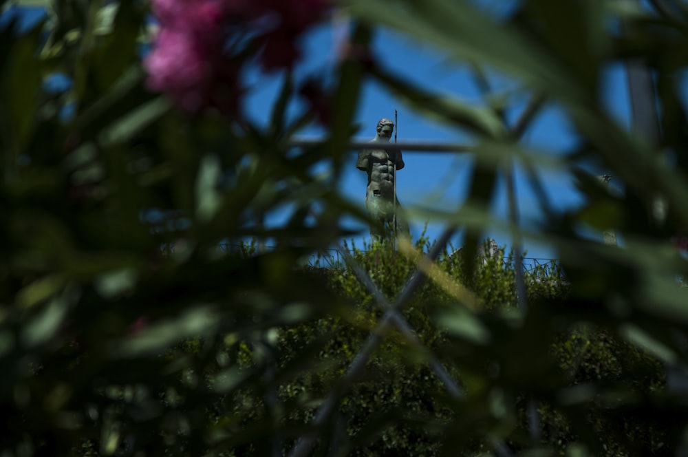 pink flower in tilt shift lens