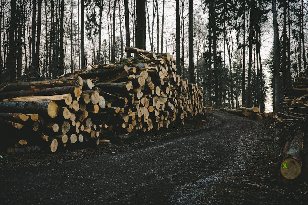 brown wood logs on road