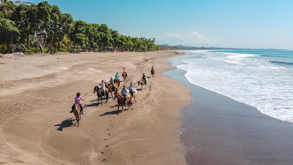 pessoas na praia durante o dia