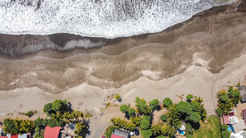 an aerial view of a beach with houses and trees