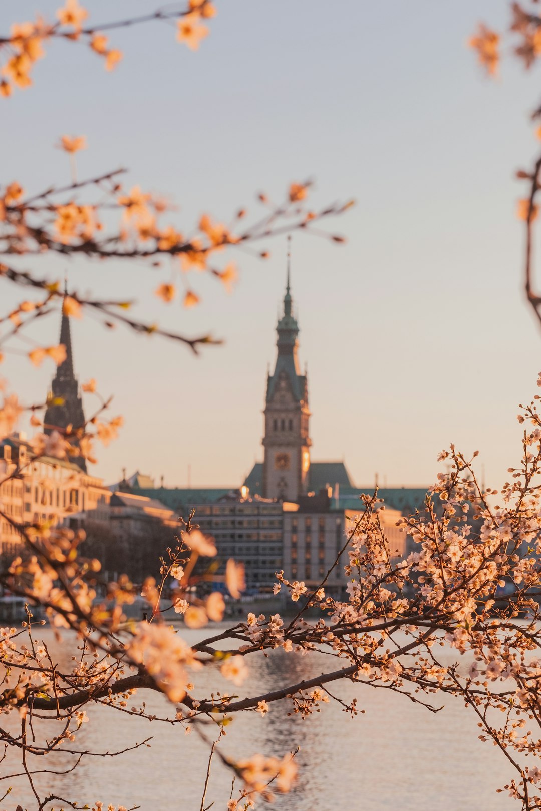 Landmark photo spot Alster Planten un Blomen