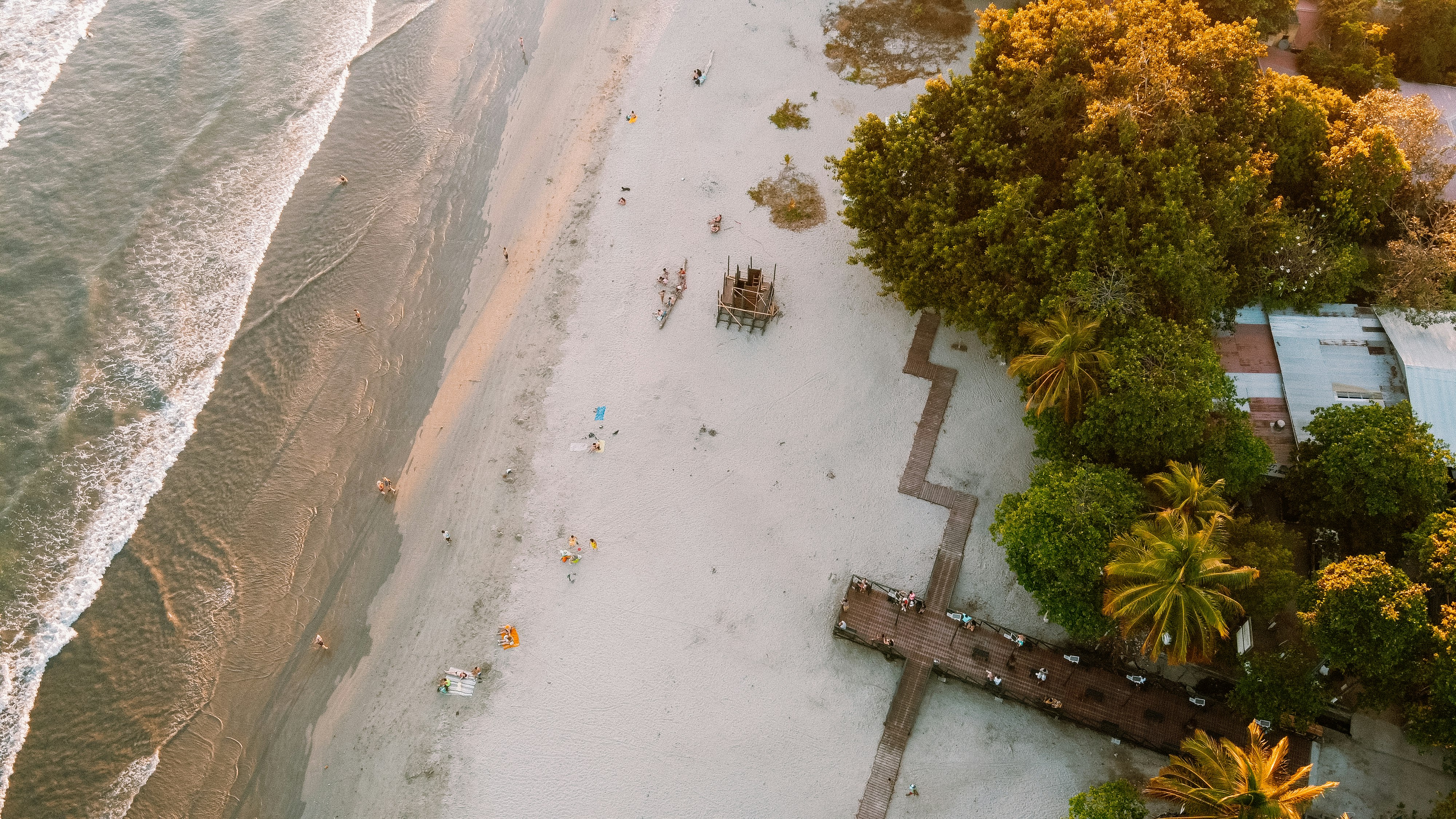 aerial view of green trees on gray sand during daytime