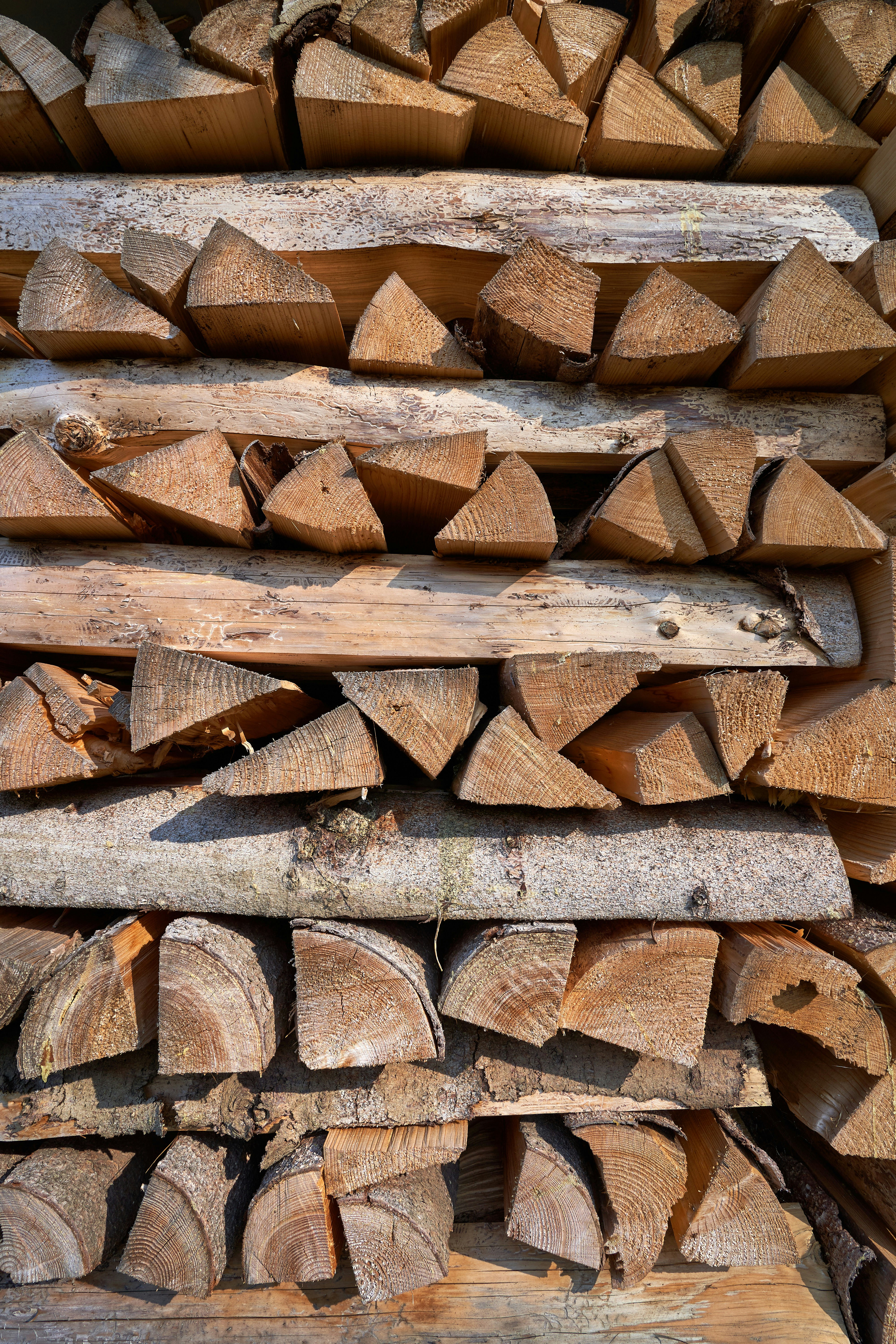 Photo by wolfgang_hasselmann