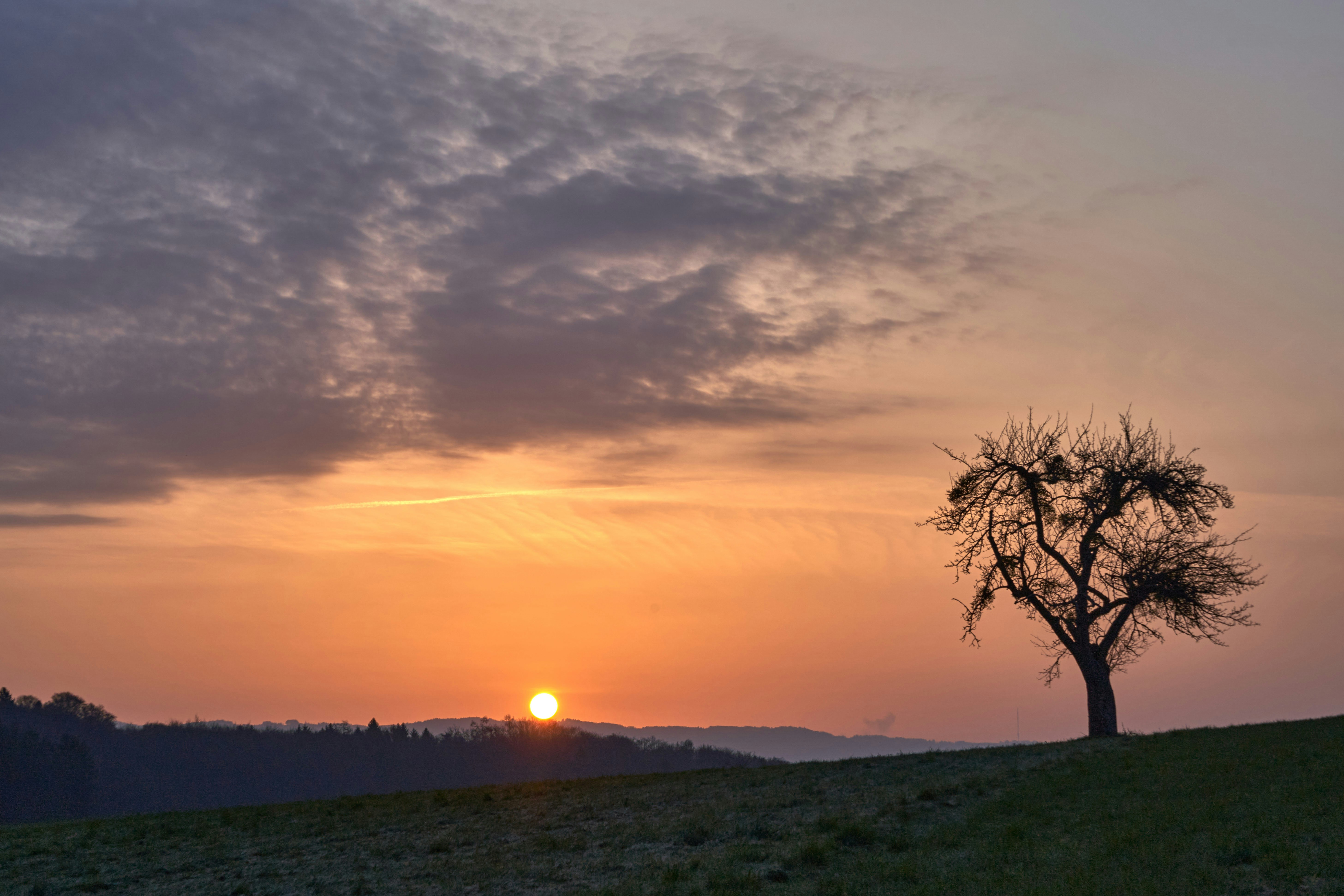 Photo by wolfgang_hasselmann