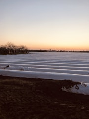 A wide agricultural basin lined with black geomembrane under a clear sky.