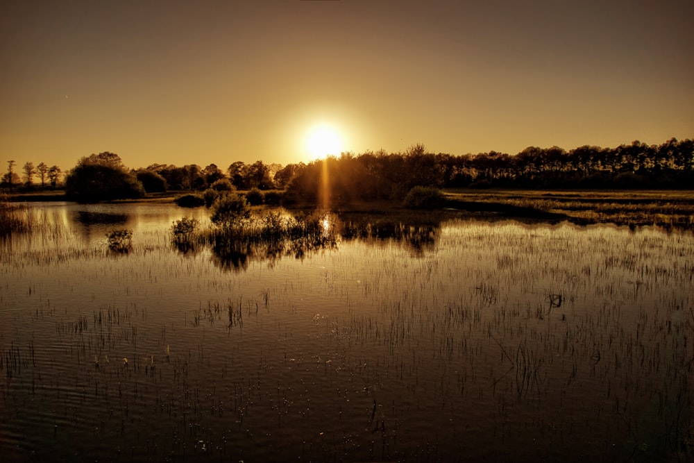 body of water near trees during sunset