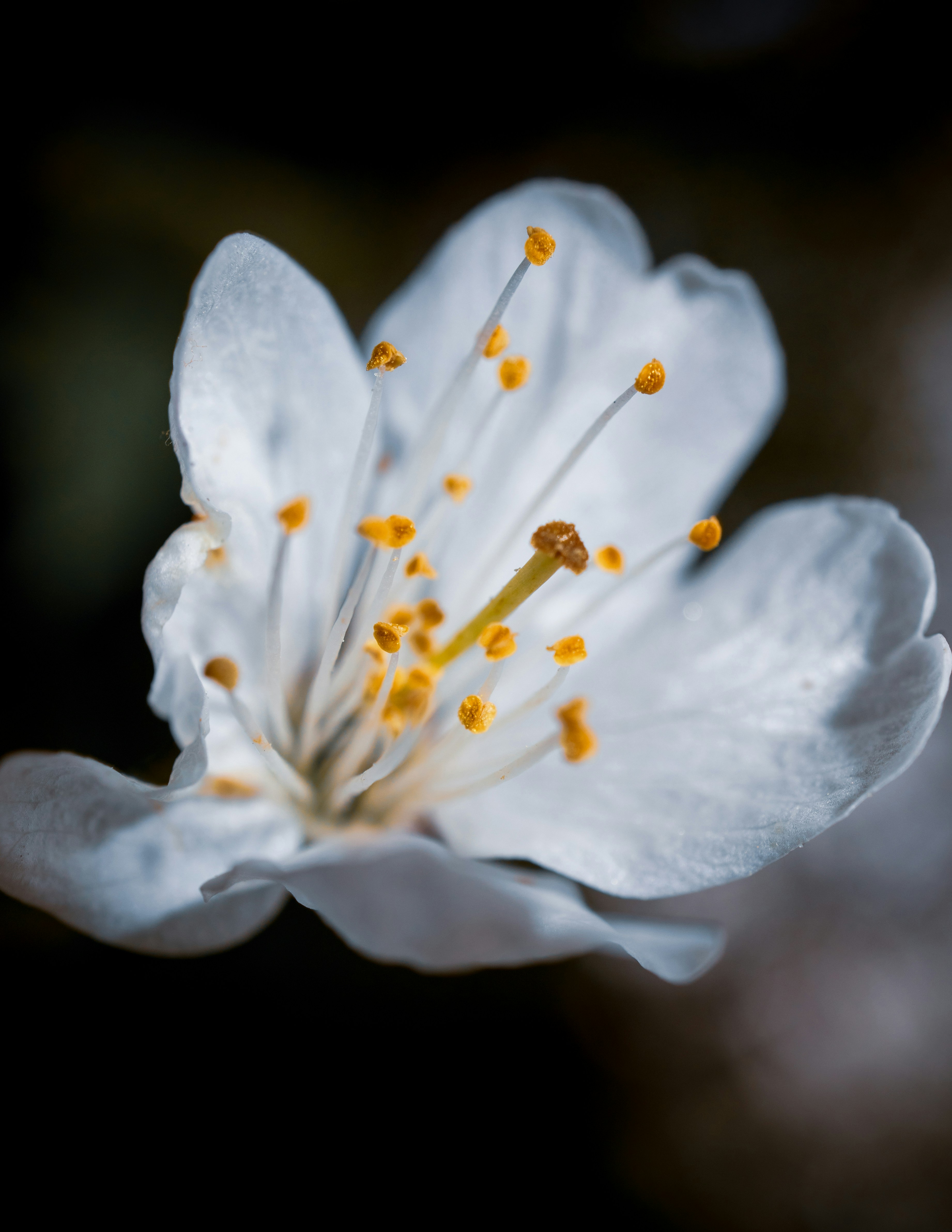 Photo by grievek1610begur