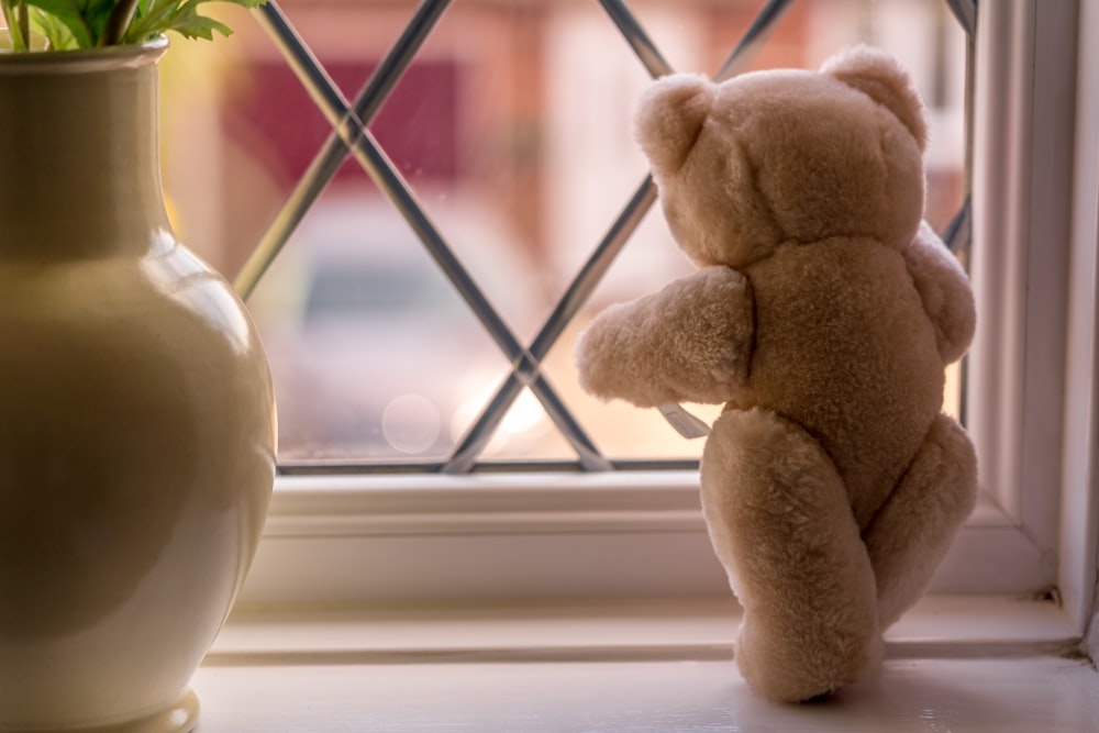 brown bear plush toy on window