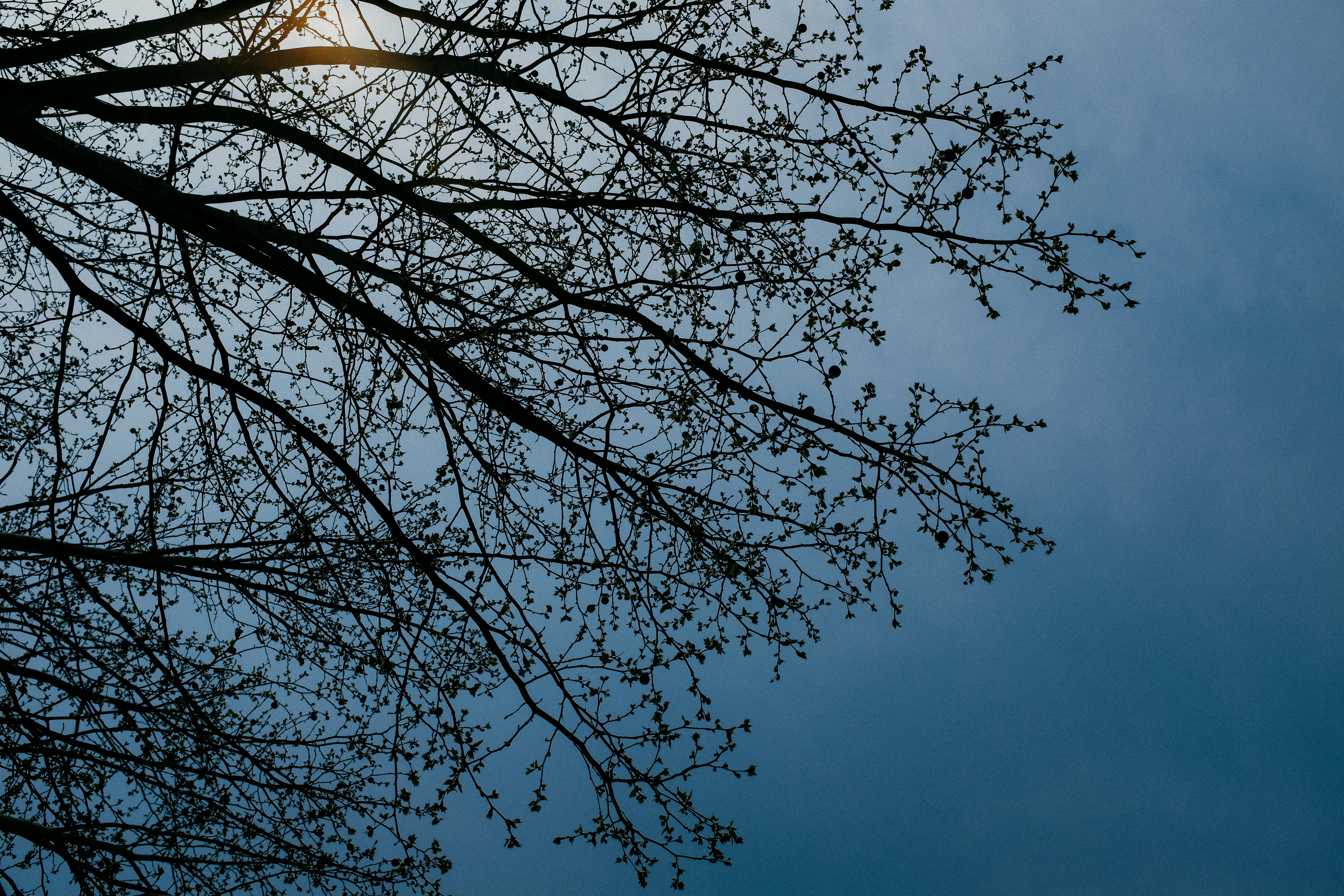 Photo by kennyzhang29