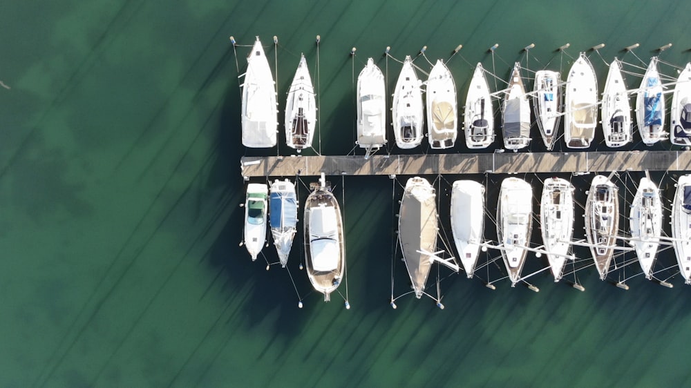 Barca bianca e blu sullo specchio d'acqua verde